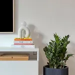 Pippa Apartment *